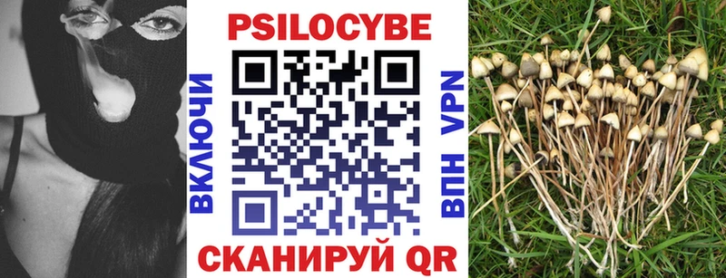 Купить  Краснотурьинск  Псилоцибиновые грибы прущие грибы 